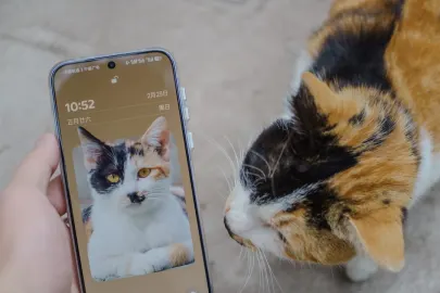 Βεσπερ Καζίνο Κινητη εφαρμογη